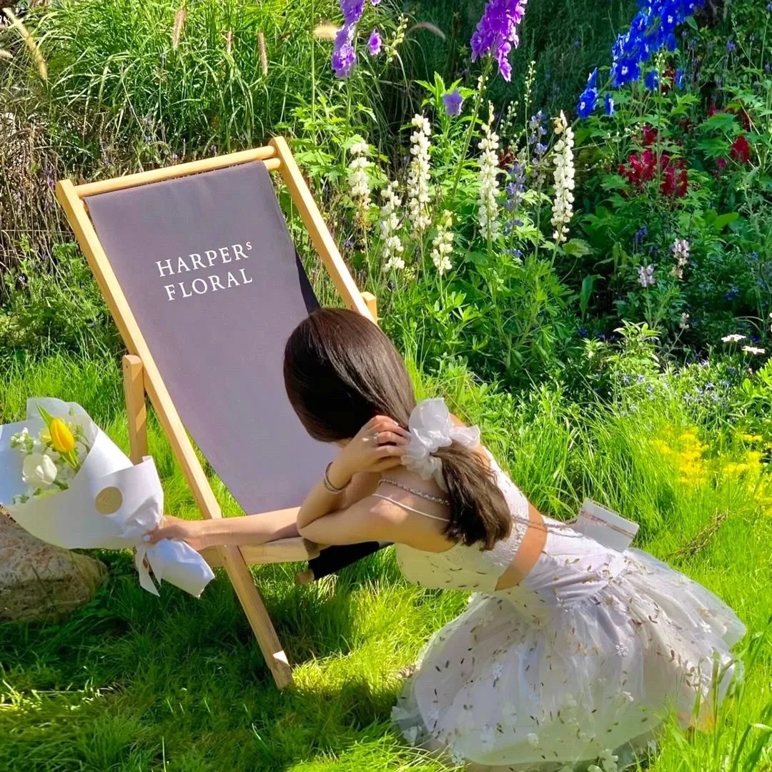 狂蟒之灾4